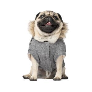 Canada Pooch NWOT Alaskan Army Parka Dog Coat